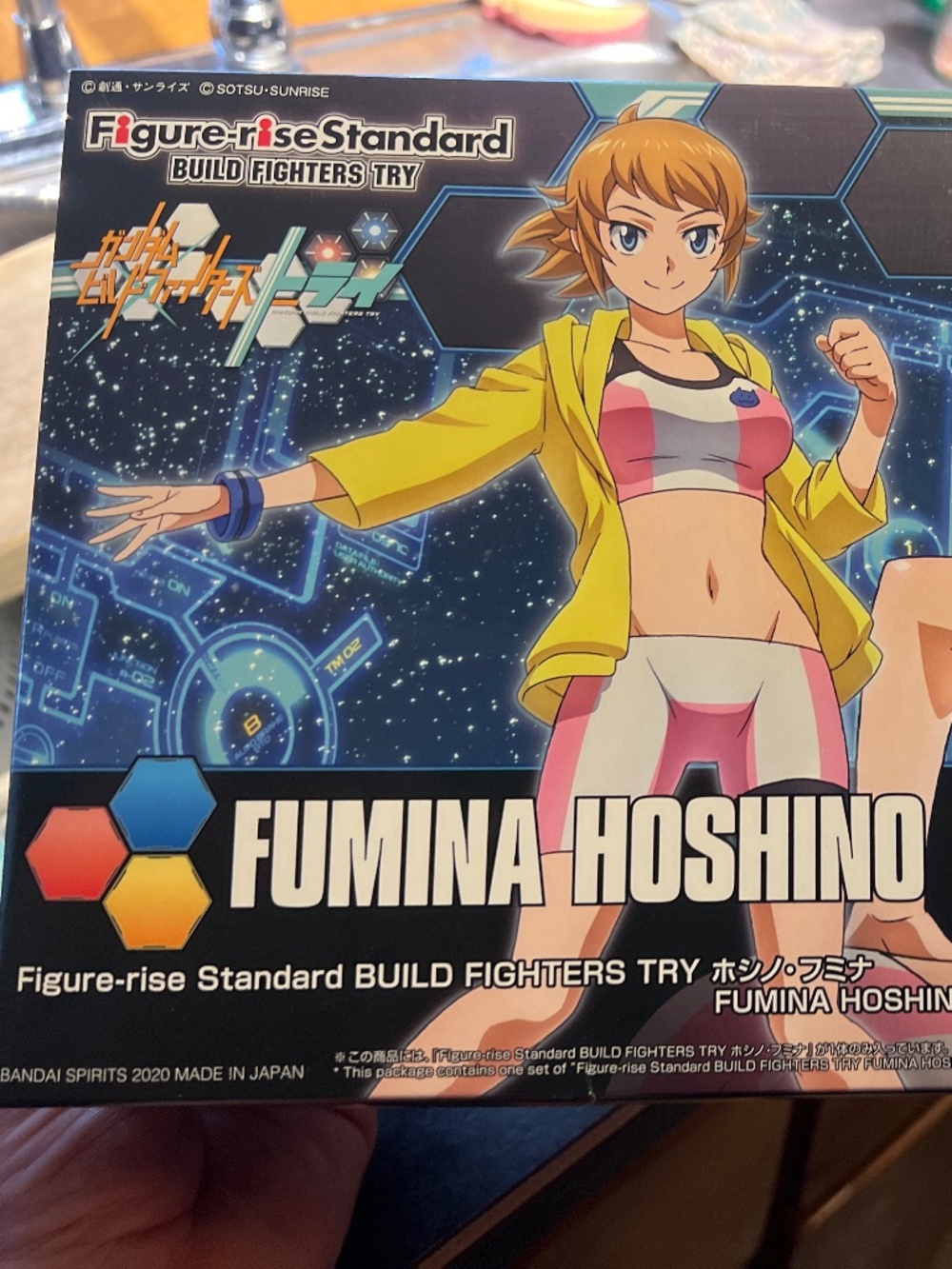 Fuming Hoshino build fighter